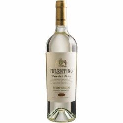 TOLENTINO PINOT GRIGIO