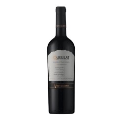 VENTISQUERO QUEULAT GRAN...