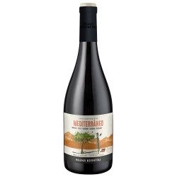 MORANDE ADVENTURE Mediterraneo