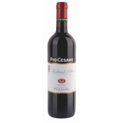 PIO CESARE BARBERA D' ALBA